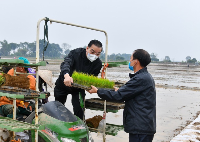 Bí[-]thư[-]và[-]Chủ[-]tịch[-]TP[-]Hà[-]Nội[-]xuống[-]đồng[-]cấy[-]lúa,[-]động[-]viên[-]nông[-]dân